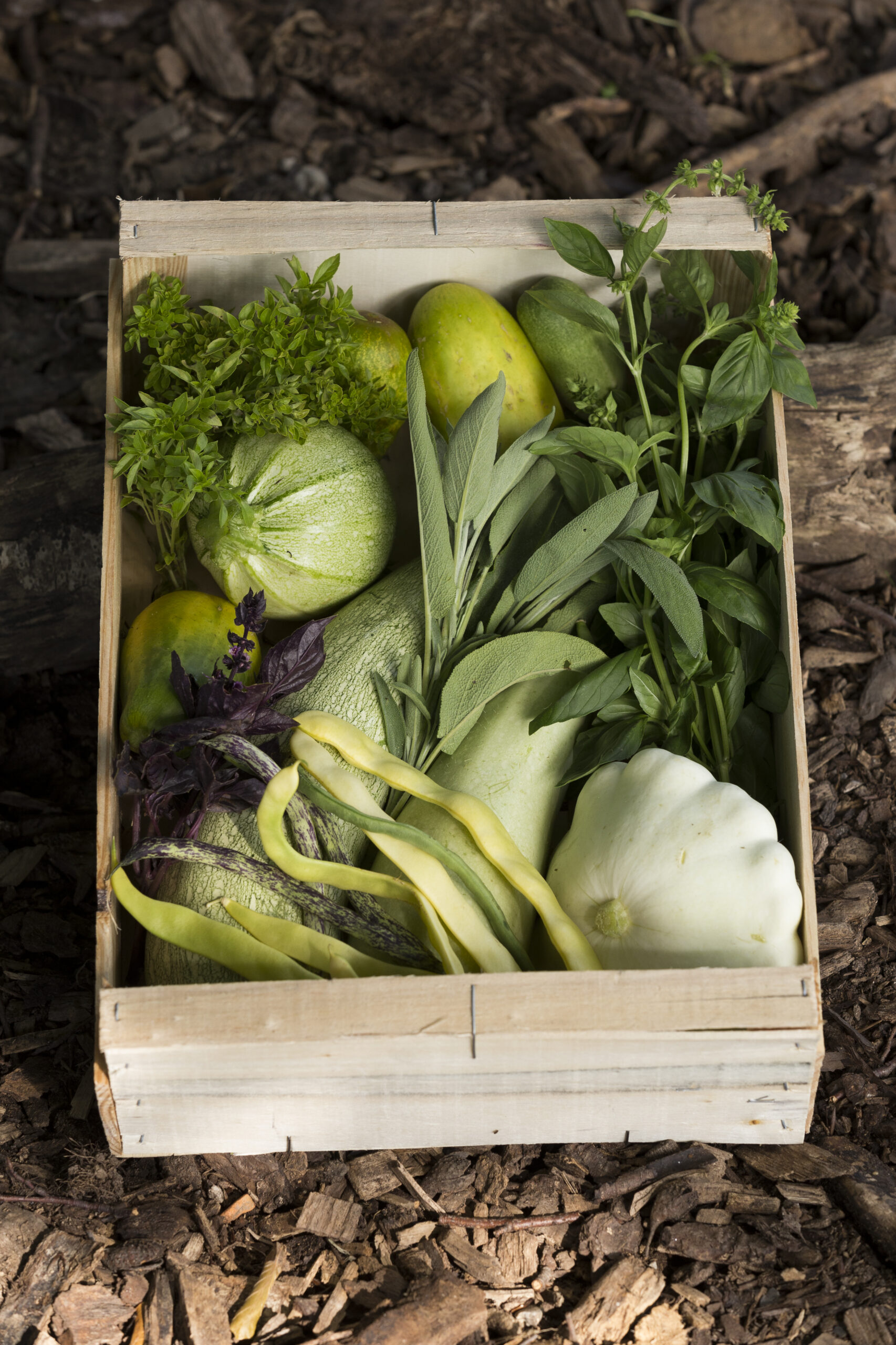 Une caisse de légumes et de feuilles fraîchement récoltés à la ferme